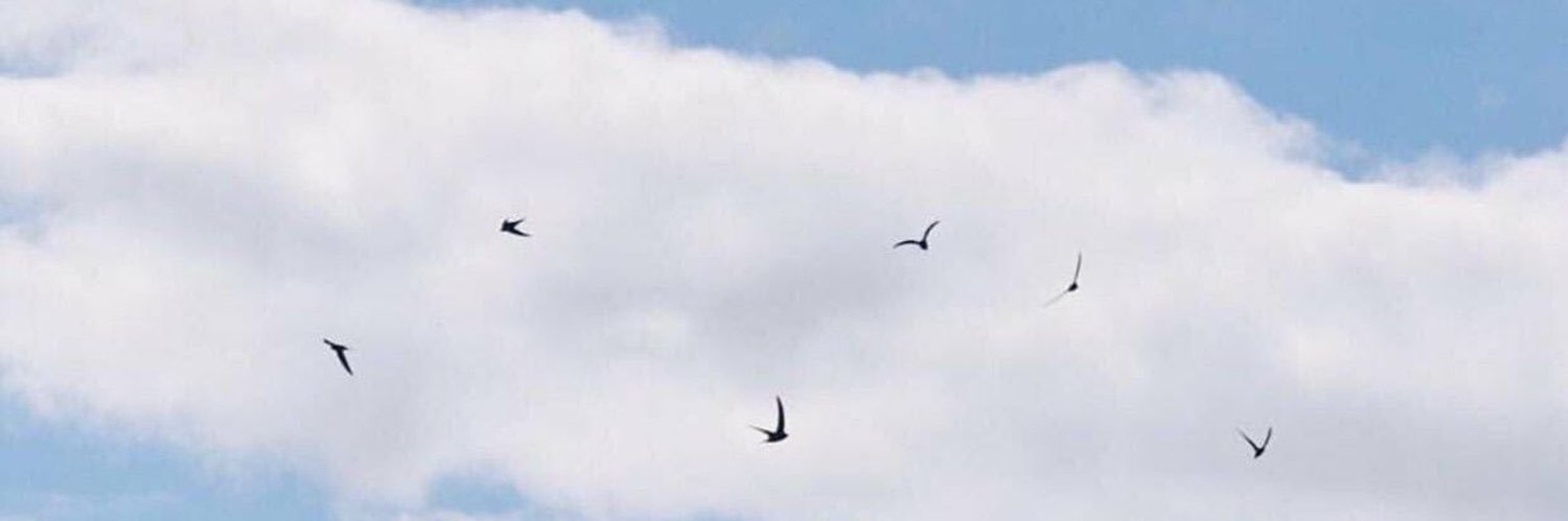 غيمة عطاء 🌧 banner
