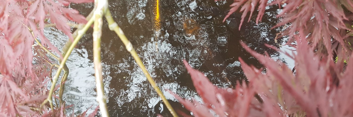 to3yo_o's profile banner image