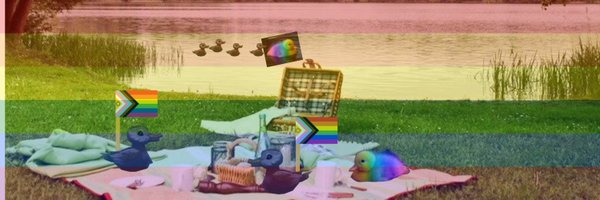 e v u 🦆 Profile Banner