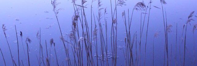 Narinara63's profile banner image