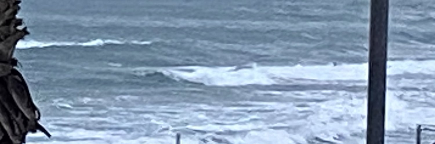 Surfer banner