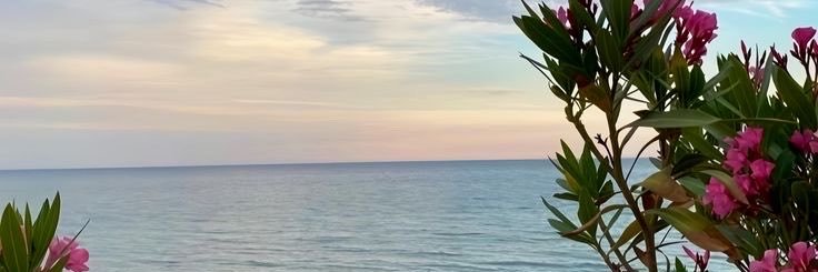 aysegulbkrcc's profile banner image