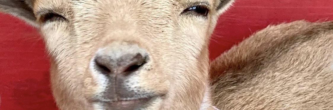idktitos's profile banner image