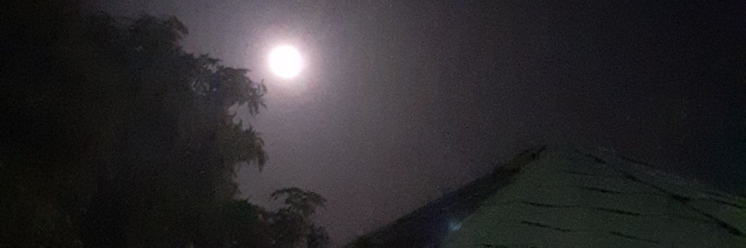 PaulBoscan's profile banner image