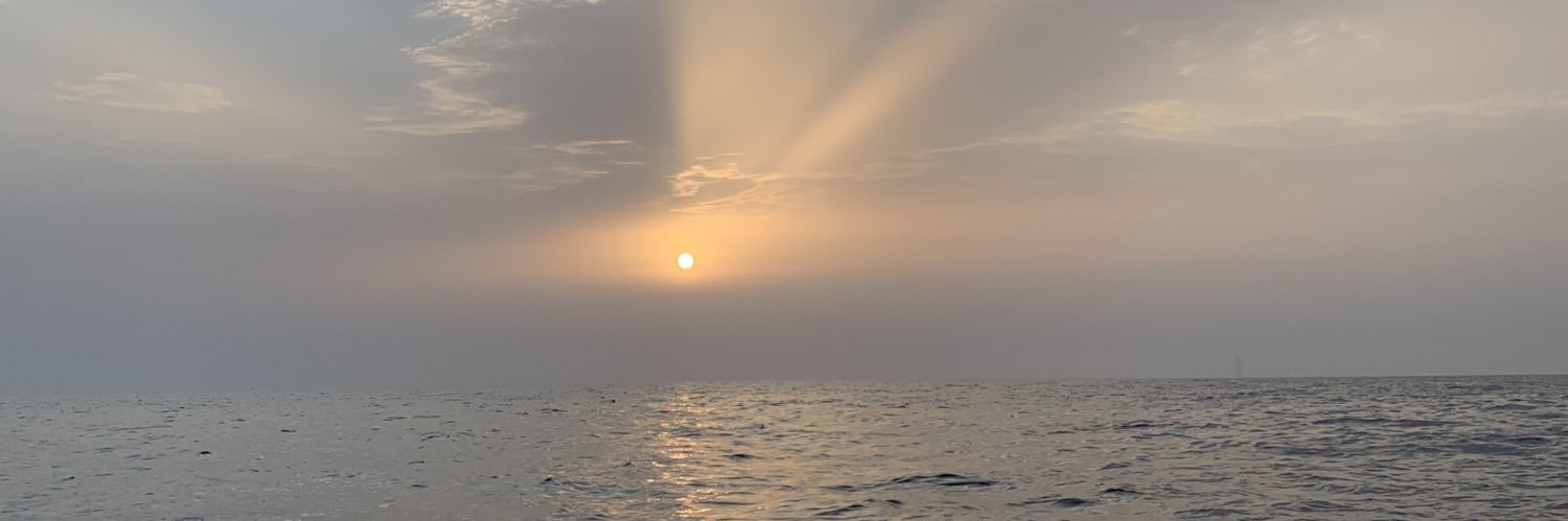 haneenmn's profile banner image