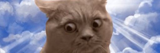 cryptocoin π² banner