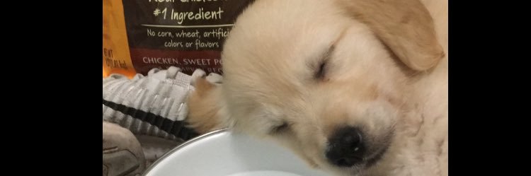 hunterbrady1's profile banner image