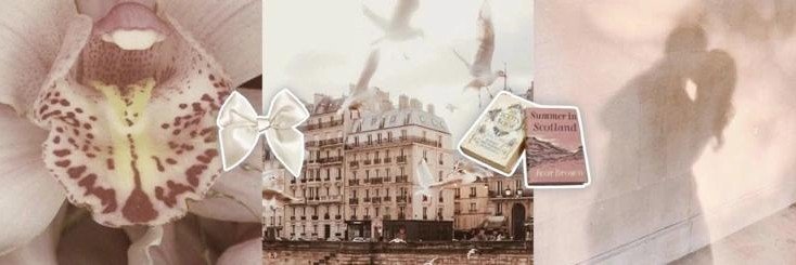 veooti's profile banner image