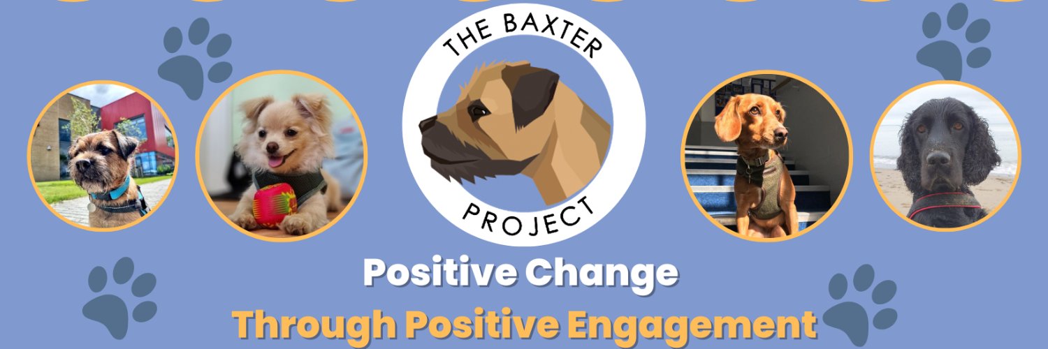 The Baxter Project banner