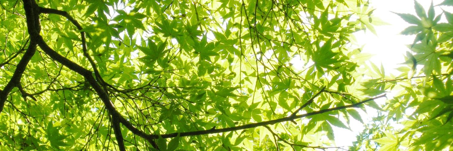 はつやま@5/6東3ひ24a banner