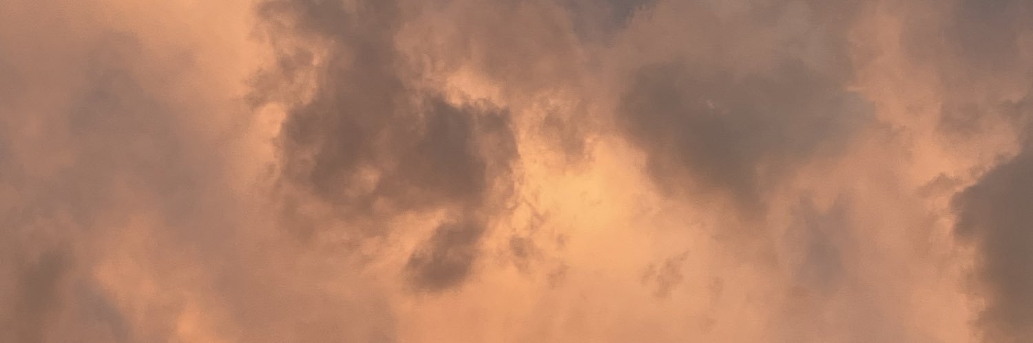 ansodv's profile banner image