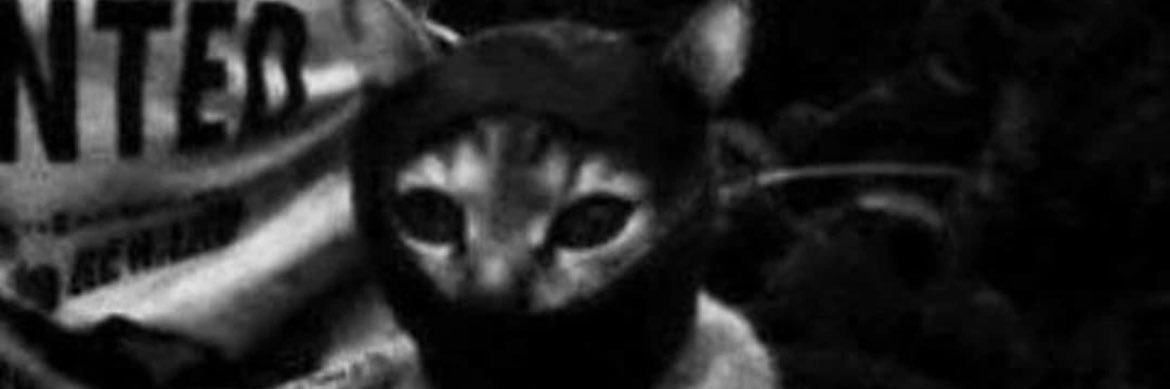 raw banner