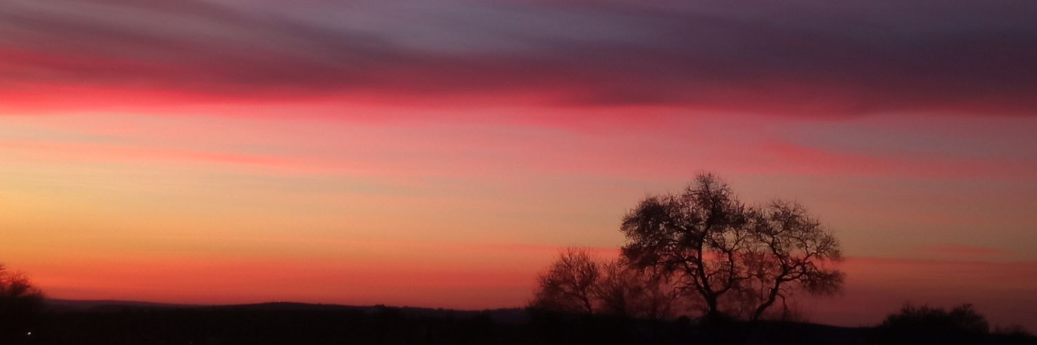 oli no holi banner