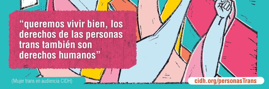 Flavia Piovesan banner