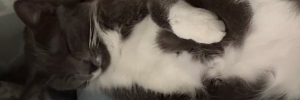 carpye10 Profile Banner