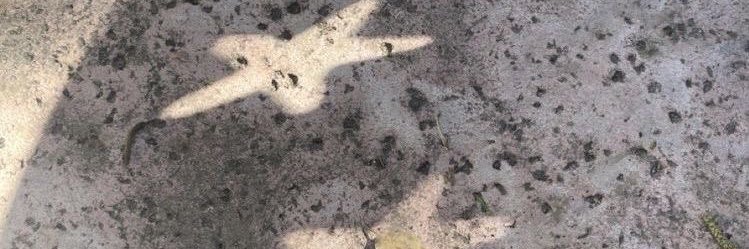 veins banner