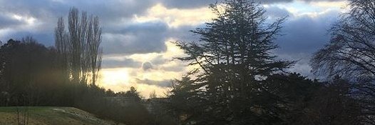 petervarnum's profile banner image