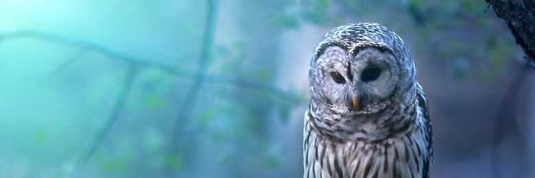ClairesHome1's profile banner image