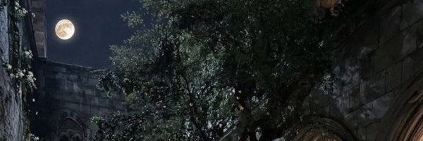 AnalogAquarium Profile Banner