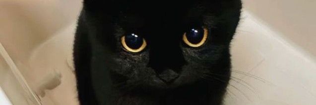 CelebrityTife's profile banner image