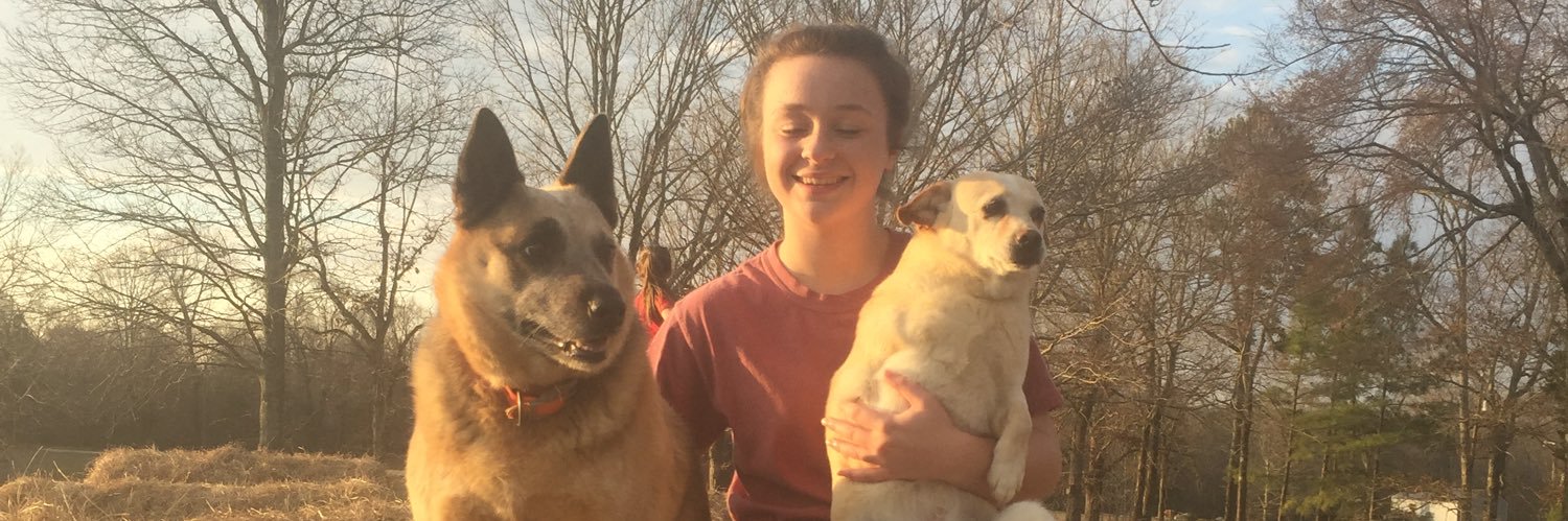 Jeff Hamilton banner