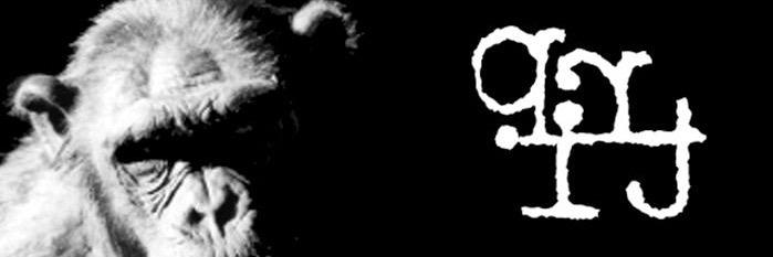 tripnycorg's profile banner image