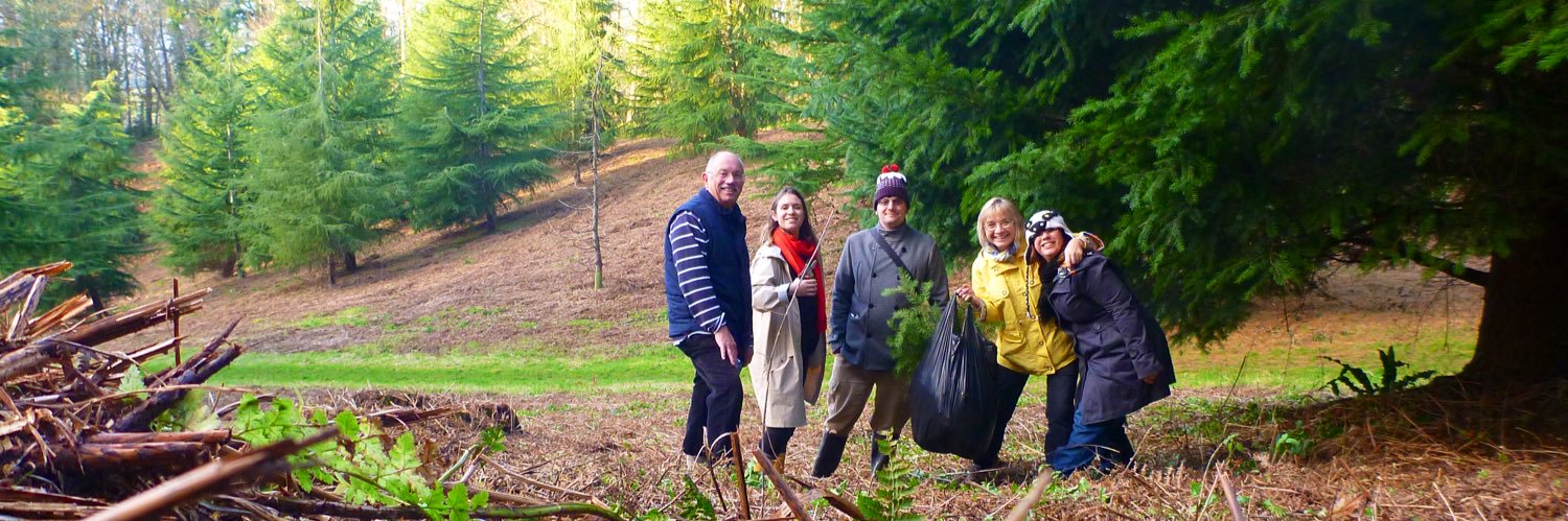 Natbat (Bluesky/Instagram: @natbat) banner