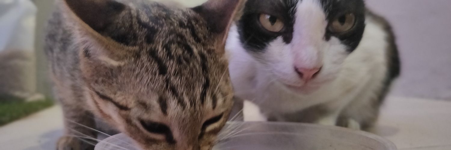 OiLLYYY's profile banner image