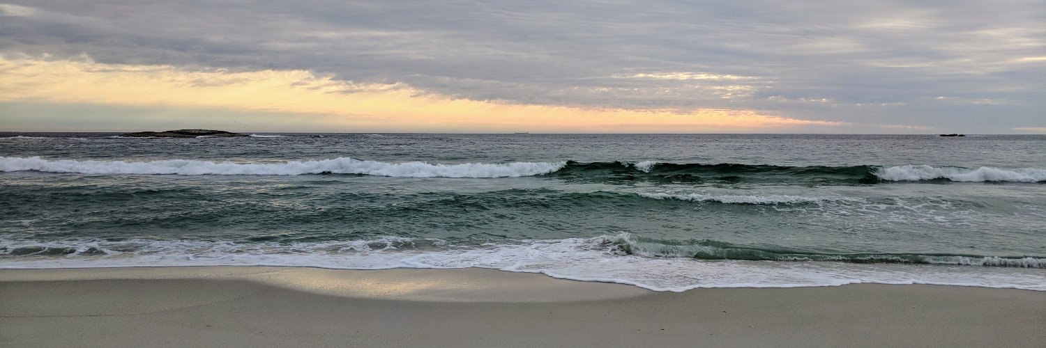Rubén Ojeda 🦁 banner