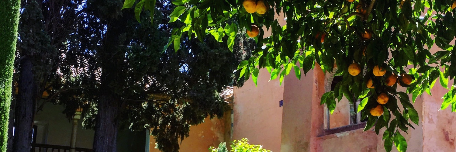 Genevieve Riccoboni banner