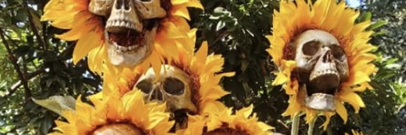 MistressScarl's profile banner image