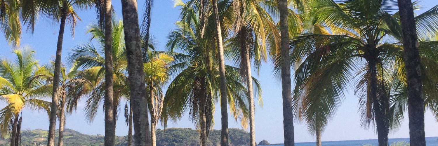 Tiffanyayi's profile banner image