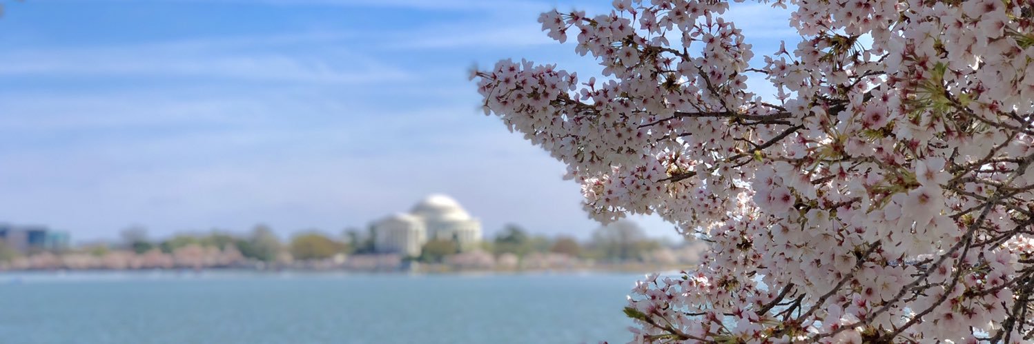 Bridget Dotson banner