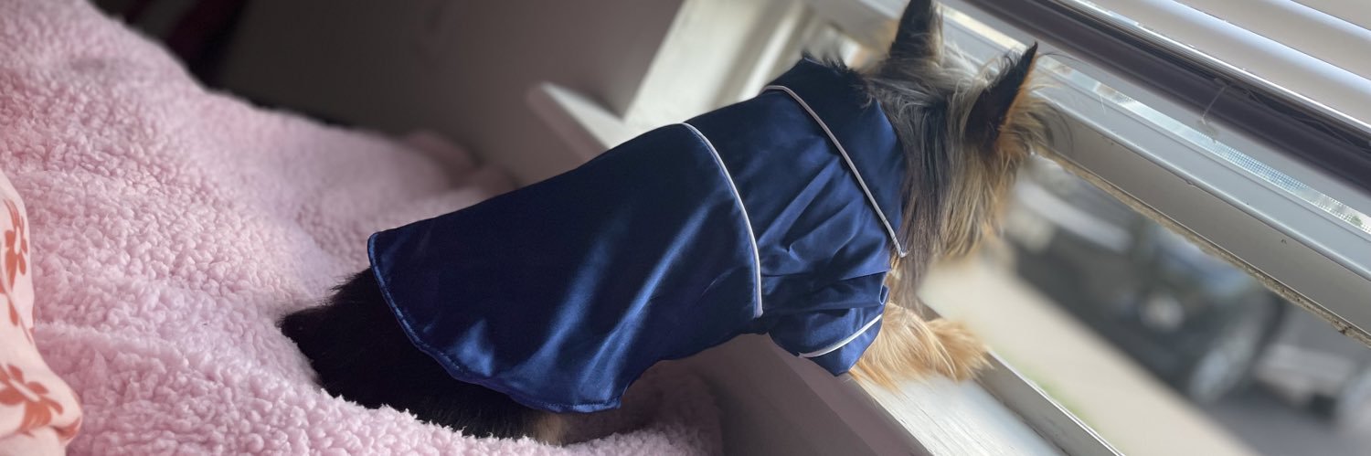 prettyxlala_'s profile banner image