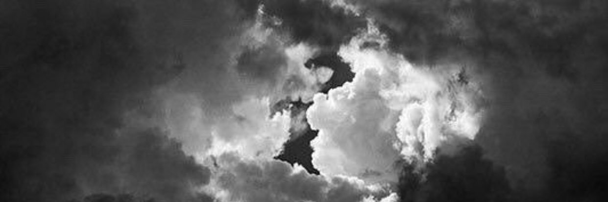 Laurisa_B's profile banner image