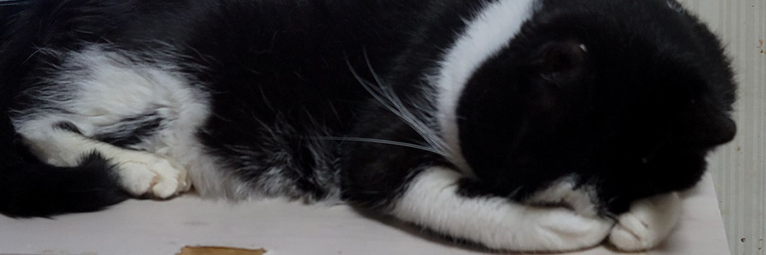 MIHEE_T's profile banner image