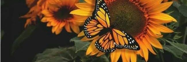 mel_tyler's profile banner image