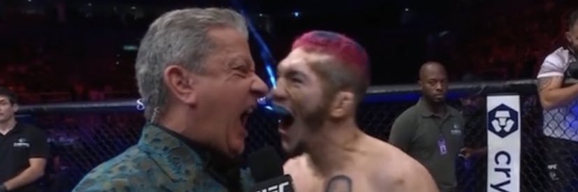 angeloamorosoo's profile banner image