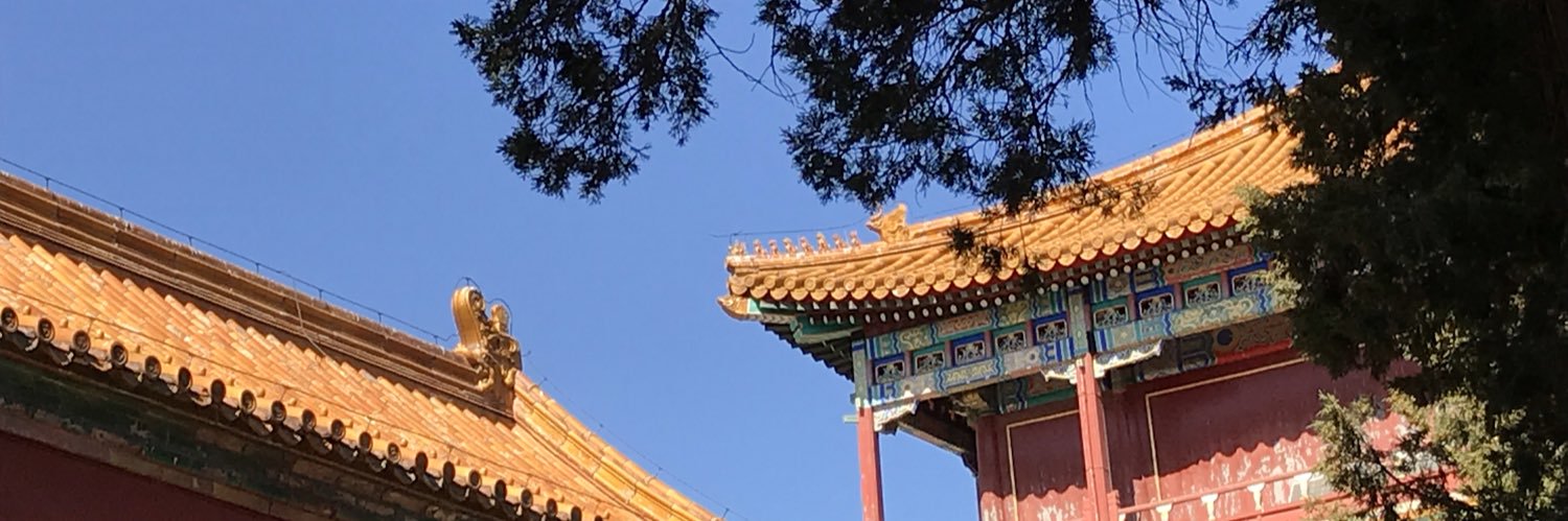 ying22zhang's profile banner image
