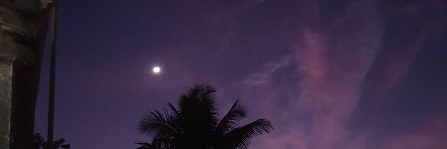 CheniourSheima's profile banner image