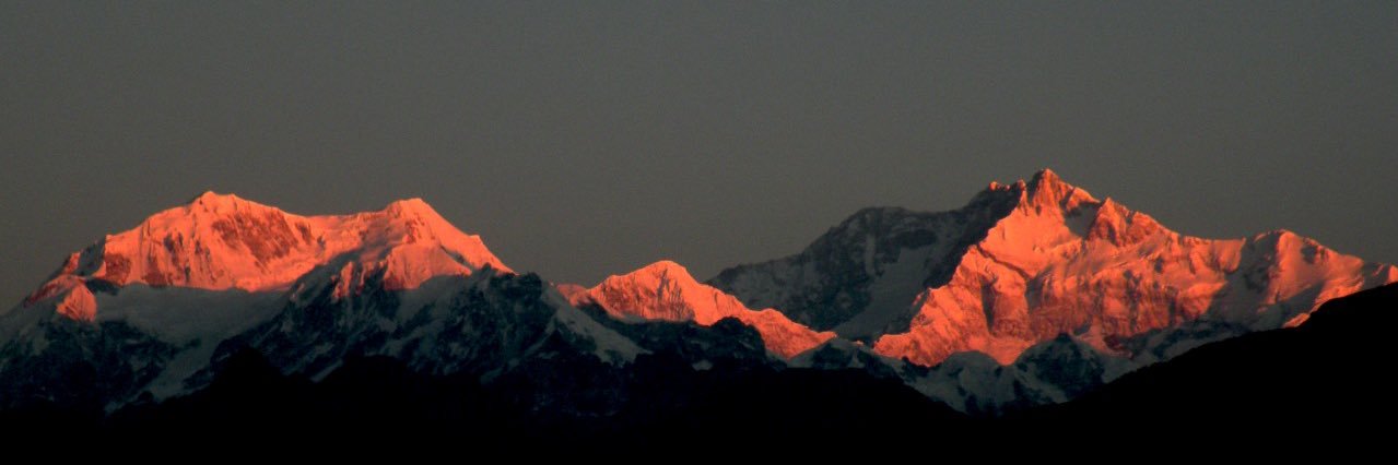 boltutweet's profile banner image