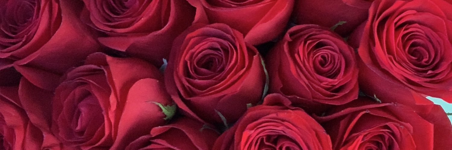 camiladch's profile banner image