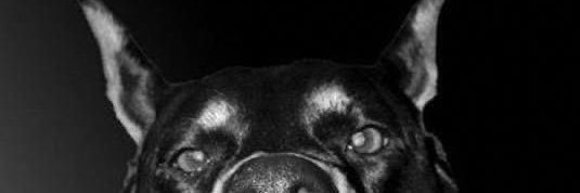 azgazzaz's profile banner image