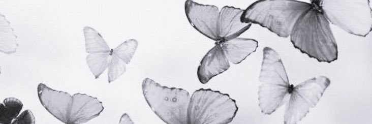 Claudia banner