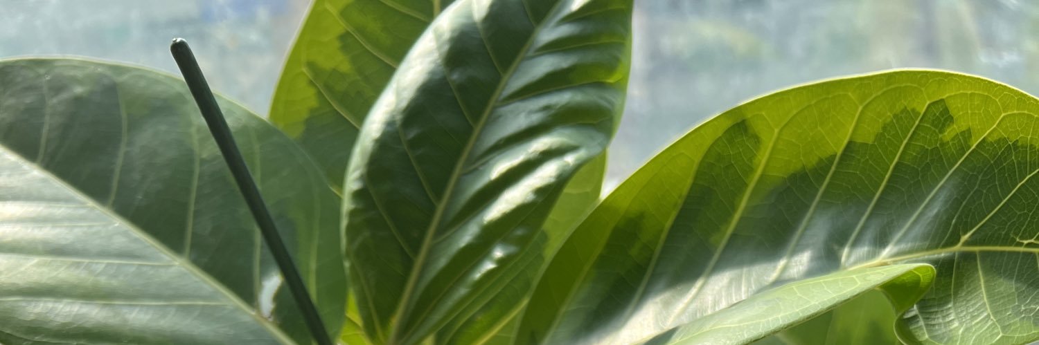 kitae7's profile banner image