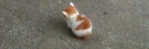 especiallyvague banner