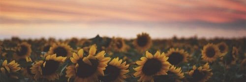 morgmccloy_'s profile banner image