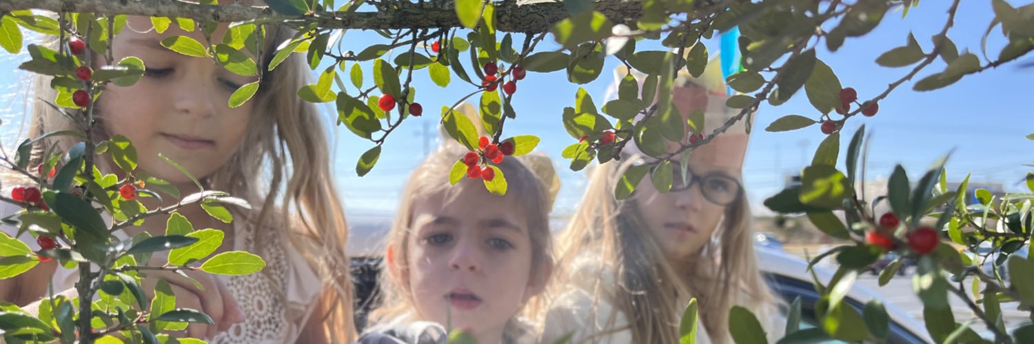 Wevo9's profile banner image