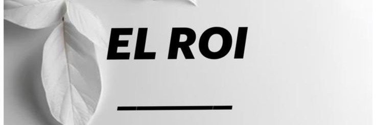 estelledolz's profile banner image
