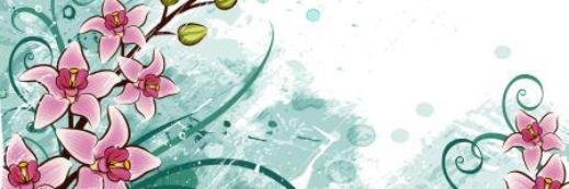 rabiatekin16's profile banner image